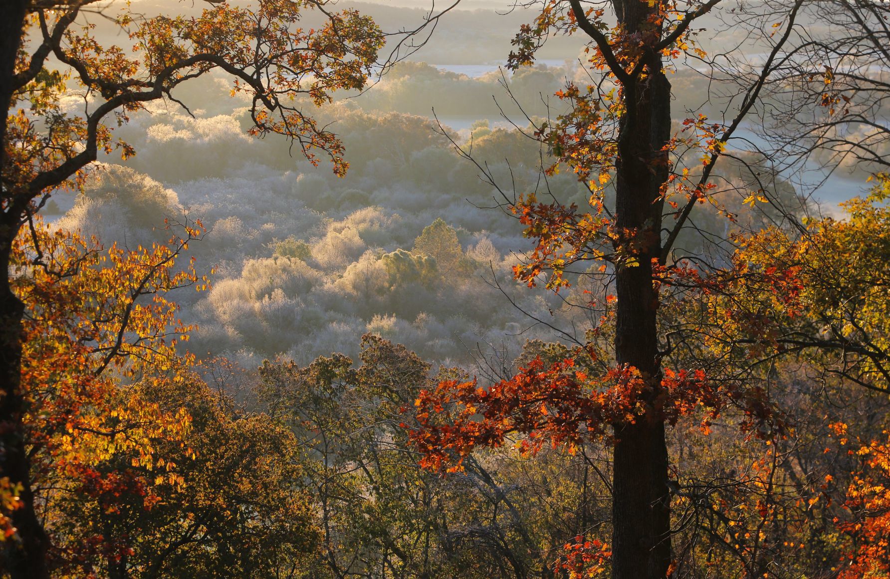 Frost comes to the Big River valley.